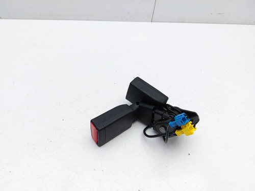 Rear twin double - twin, belt