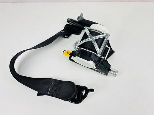 Seat belt rear right - belt,